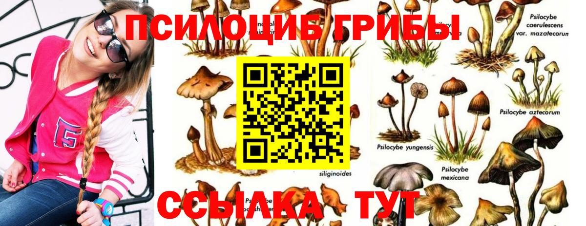 Псилоцибиновые грибы ЛСД  Вход с VPN  Новочебоксарск 