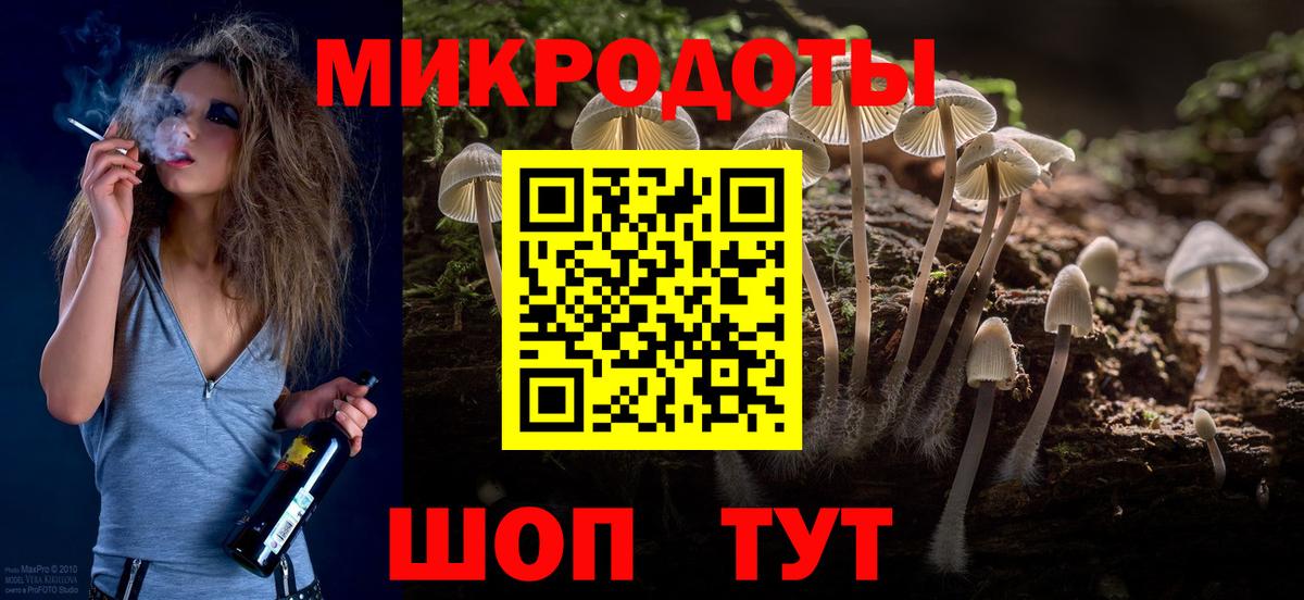 Псилоцибиновые грибы Cubensis Новочебоксарск